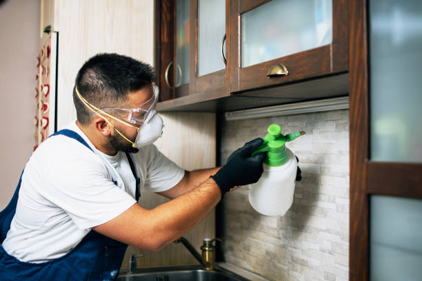 Best Emergency Pest Control  in Dallas Center, IA