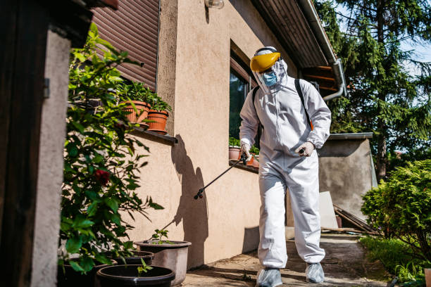 Best Affordable Pest Control Services  in Dallas Center, IA