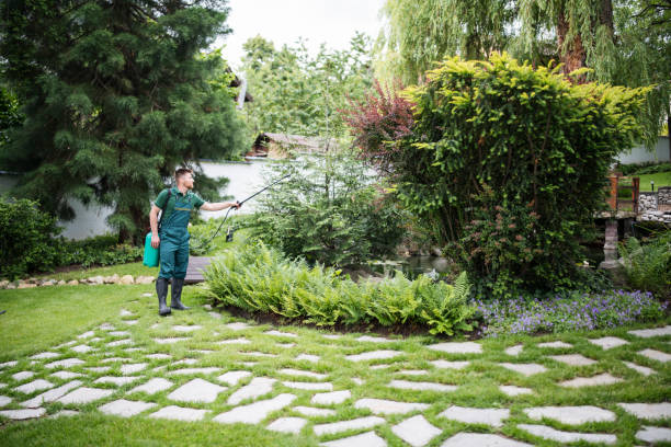 Best Insect Control  in Dallas Center, IA