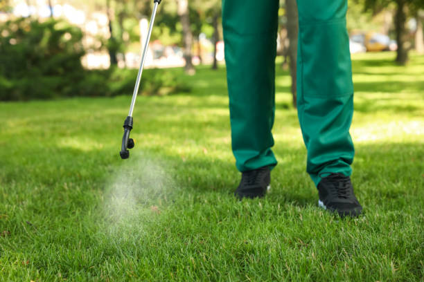 Best Commercial Pest Control Services  in Dallas Center, IA