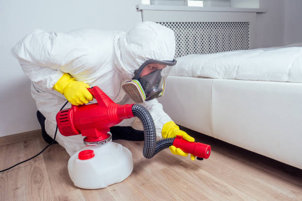 Best Local Pest Control Services  in Dallas Center, IA