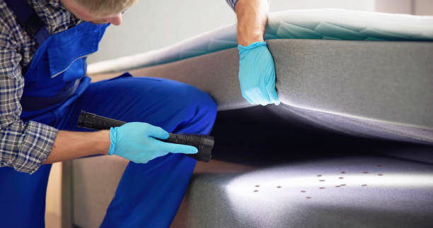 Best Cockroach Control Services  in Dallas Center, IA