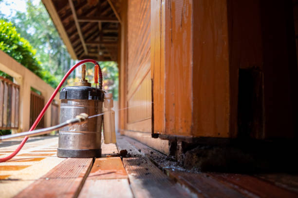 Pest Control Cost in Dallas Center, IA