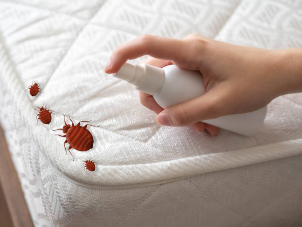 Best Mosquito Control Services  in Dallas Center, IA