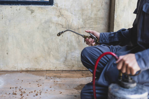 Best Pest Control Near Me  in Dallas Center, IA